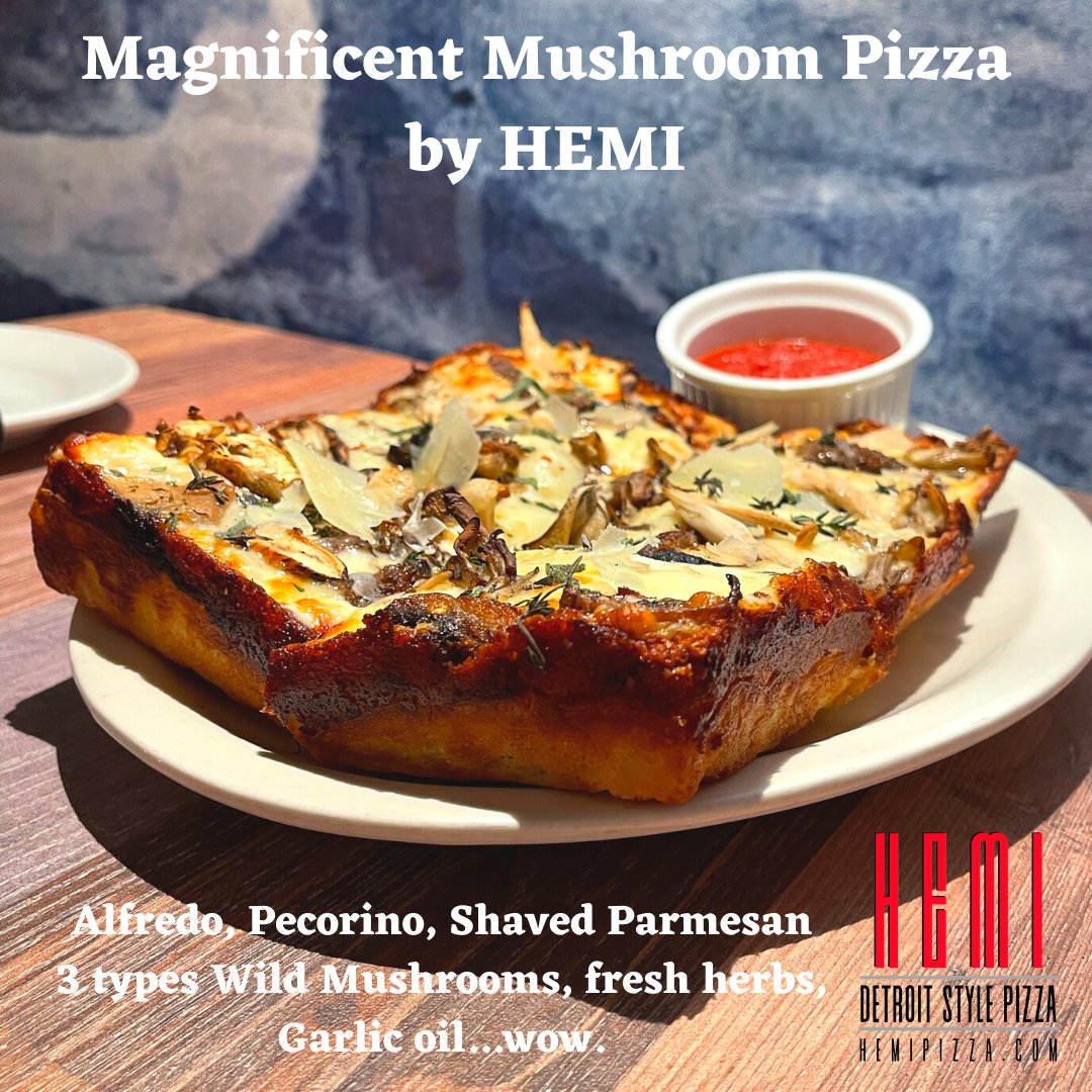 MAGNIFICENT MUSHROOM pizza